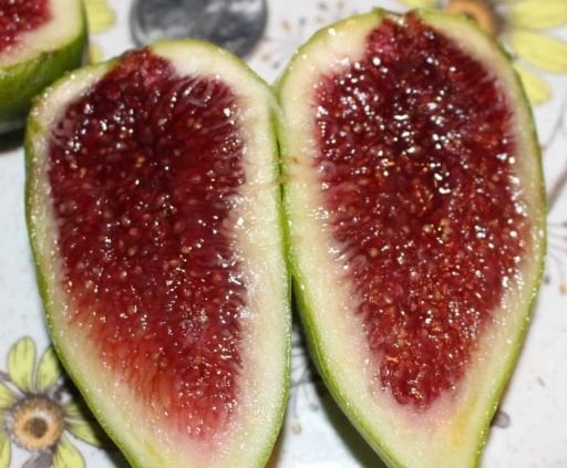 Çok soğuğa dayanıklı incir fidanı çeşitleri