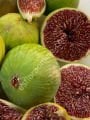 White Adriatic fig cutting / incir çeliği