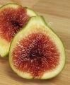 Green Ischia fig cutting / incir çeliği
