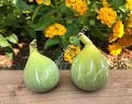De La Senyora (Hivernenca)  incir fidanı
