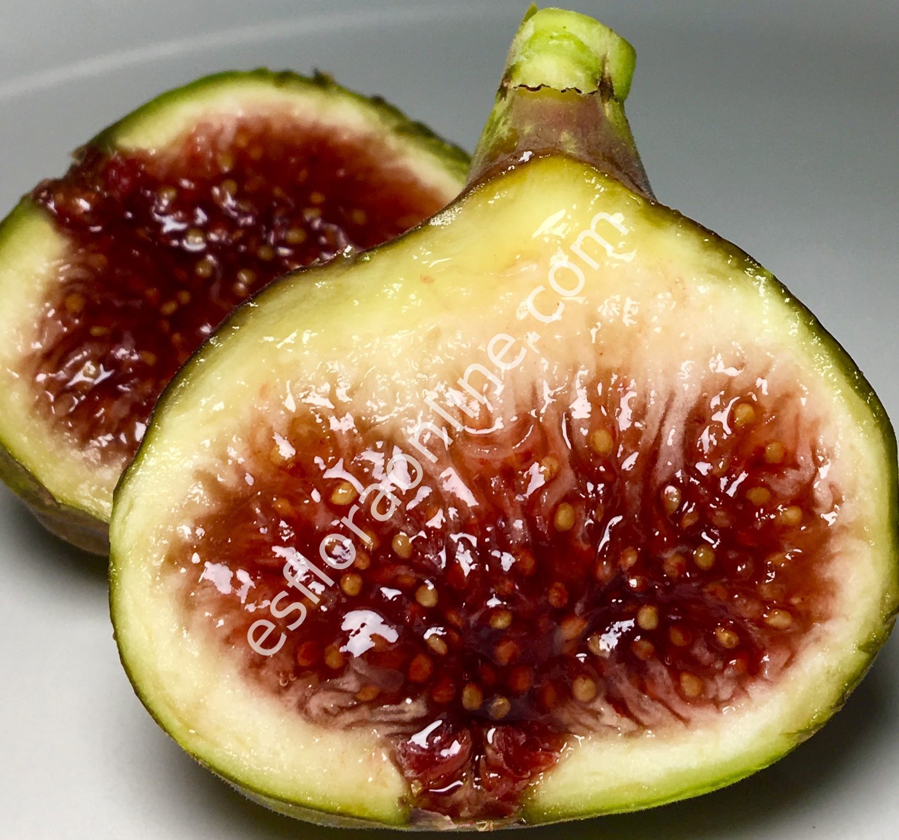 Smith incir çeliği