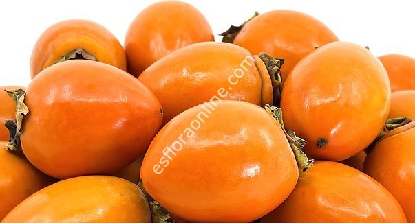 iSMAiL sivri meyveli buruk olmayan hurma aşı kalemi