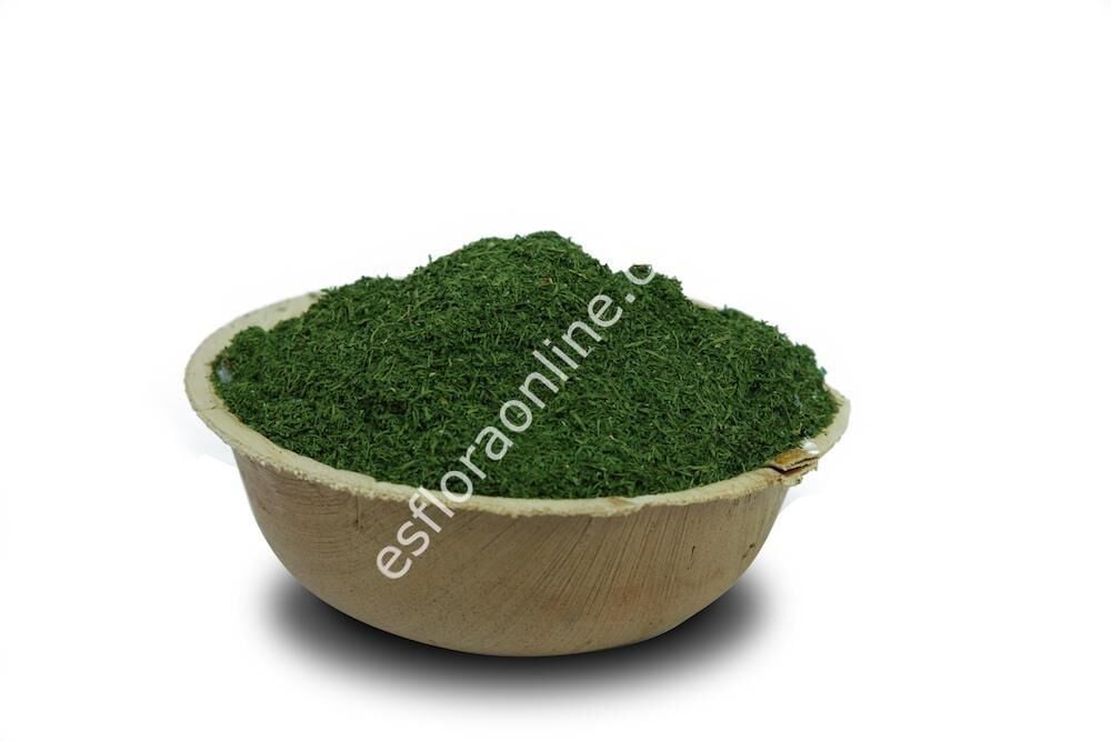 YENİ MAHSUL Melez Artemisia annua yaprağı kurusu - Peygamber süpürgesi çayı - tatlı pelin otu çayı