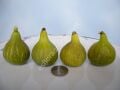 White Madeira #1 fig cutting