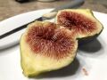 Craven's Craving fig cutting / incir çeliği
