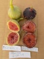 Exquisito fig cutting / incir çeliği